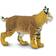 Safari Bobcat Toy