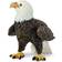 Safari Bald Eagle