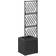 vidaXL Trellis Raised Bed with Pot Plantekasse