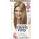 Clairol Nice'n Easy #7 Dark Blonde