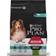 Pro Plan Pro Plan Medium Adult Sensitive Digestion with Optidigest Rich in Lamb 3kg