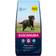 Eukanuba Active Adult Large Breed with Chicken