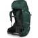 Osprey Aether Plus 85 L/XL - Axo Green