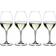 Riedel Vinum Champagne Glass 44.5cl 4pcs