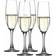 Spiegelau Authentis Champagneglas 19cl 4stk