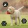Pro Plan Pro Plan Medium Puppy With Optistart 3kg