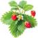 Click and Grow Smart Garden Strawberry Refill 3-pack Frugt- & Bærfrø