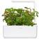 Click and Grow Smart Garden Strawberry Refill 3-pack Frugt- & Bærfrø