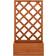 vidaXL Plant Box with Trellis Plantekasse