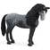 Schleich Pura Raza Espanola Mare 13922