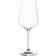 Leonardo Puccini Glas 12stk