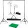 vidaXL Photo Studio with Backgrounds, Lamps and Umbrellas 300x300cm Green