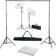 vidaXL Photo Studio with Backgrounds, Lamps and Umbrellas 500x300cm White