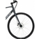 Trek FX 1 Disc 2021 Unisex