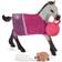 Schleich Horse Club Playful Foal 42534