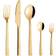 Aida Raw Gold Cutlery Set 60pcs