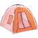 Our Generation All Night Campsite