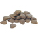 Pro Plan Pro Plan Medium OptiBalance Chicken Dry Dog Food 3kg
