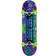 Tony Hawk Skateboard Wasteland 8.00'' Green