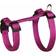 Trixie Guinea Pig Harness