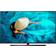 Philips TV LED Ultra HD 4K 55' 55HFL6114U / 12 Android TV