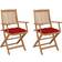 vidaXL 3064613 2-pack Havestol