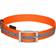 MiniFinder Dog Collar