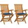 vidaXL 3062490 2-pack Trädgårdsmatstol