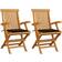 vidaXL 3062490 2-pack Garden Dining Chair