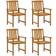 vidaXL 3061234 4-pack Garden Dining Chair, Director's Chair