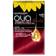 Garnier Olia Permanent Hair Colour #6.60 Intense Red