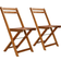 vidaXL 44012 2-pack Garden Dining Chair