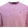 Polo Ralph Lauren Crew Neck Sweatshirt - Pink