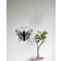 Star Trading Butterfly Wandlampe