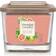 Yankee Candle Jasmine & Pomelo Medium Scented Candle 347g