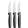 Fiskars Functional Form 1057564 Steakkniv 11 cm