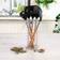 Quid Baobab Kitchen Utensil 6pcs