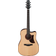 Ibanez AAD300CE-LGS Natural Low Gloss Guitare Dreadnought acoustique-électrique