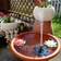 24hshop Solar Fountain