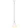 vidaXL 320573 Pendellampa ∅ 17cm
