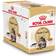 Royal Canin Maine Coon 12x85g