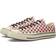 Converse Chuck 70 Ox - Egret/Cerise Pink/Black