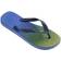 Havaianas Brasil Fresh Blue/Green Sandalen en Sloffen - Roze/Purper