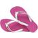 Havaianas Brasil Logo - Hollywood Rose