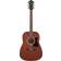 Ibanez V54NJP Pack Open Pore Natural Chitarra Acustica