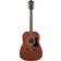 Ibanez V54NJP Pack Open Pore Natural Guitare acoustique