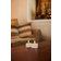 Sirius Guirlande Lumineuse Knirke Multi RVB - Multicolore Argenté Bougie LED 2.2cm 2pcs
