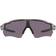 Oakley Radar EV Path Hologáficas Gris - Prizm