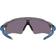 Oakley Radar EV Path Hologáficas Gris - Prizm