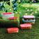 Quid Habitat Food Container 5pcs